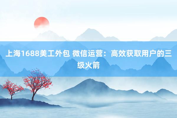 上海1688美工外包 微信运营：高效获取用户的三级火箭