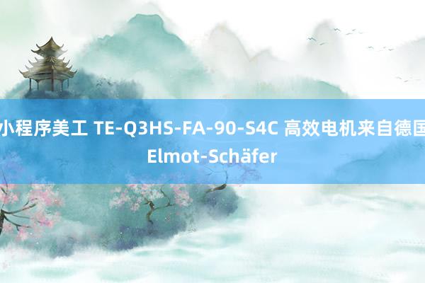 小程序美工 TE-Q3HS-FA-90-S4C 高效电机来自德国Elmot-Schäfer